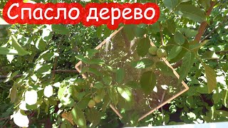 VLOG Вылетела с сеткой из окна ШОК [upl. by Kerns]