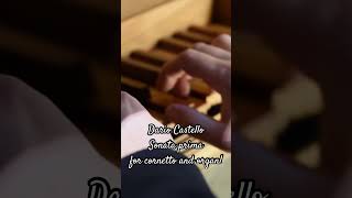 Dario Castello Sonata Prima for cornetto amp organ short seicentostravagante [upl. by Llehcear514]