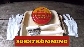 Surströmming Stinkefisch Unboxing und Geruchsprobe [upl. by Haleehs]