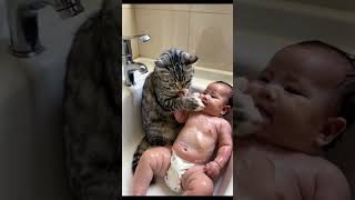 Cat bathes baby [upl. by Daryn]