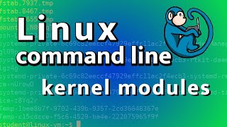 Loadable Kernel Modules  basic introduction and tutorial of module commands [upl. by Ruelu]