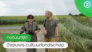 Natuurlijk Zeeuws cultuurlandschap [upl. by Hobard]