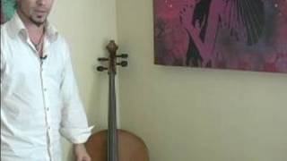 How to Play the Cello  Cello Free Standing Storage Tips amp Advice [upl. by Laurianne387]