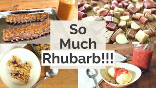 4 Quick and Healthy Rhubarb Recipes  What were Eating This Spring  Rhubarb BBQ Sauce [upl. by Yraek]