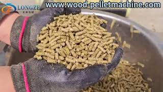 Feed Pellet Machine152 [upl. by Aurelea]