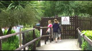 Wingham Wildlife Park [upl. by Dublin713]