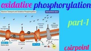 Introduction of Oxidative phosphorylation in hindi [upl. by Nodnarbal]