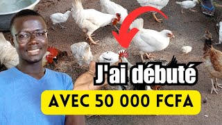 Comment débuter lélevage des Poules Locales avec 50 000 FCFA [upl. by Ramsay646]