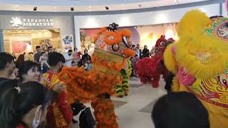 Barongsai di Summarecon Mall Bandung [upl. by Adekan996]