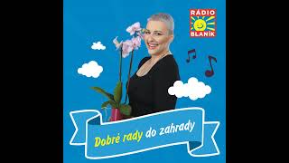 DOBRÉ RADY DO ZAHRADY NA RÁDIU BLANÍK Okrasné kopřivy [upl. by Ashely]