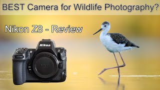 Nikon Z8 REVIEW  The perfect camera for bird photography [upl. by Ilrak]