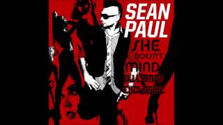 She Doesnt Mind Sean Paul  DJ Lemon Exclusive [upl. by Animaj]