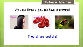 กรดอะมิโนและโปรตีน Amino Acids amp Proteins [upl. by Bonnie]