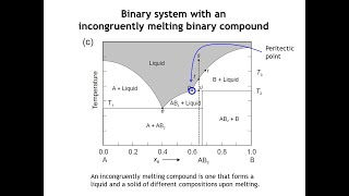 Lecture 20 Binary Phase Diagrams Part 2 [upl. by Buzz]