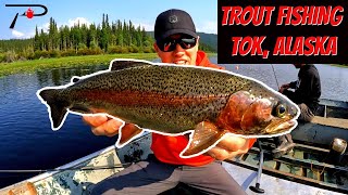 Trout Fishing Tok  Alaska [upl. by Berard164]