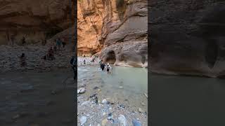 Journey Through Zion’s Narrow Canyons  Hiking The Narrows [upl. by Atikahs]