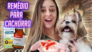 COMO DAR COMPRIMIDO PARA CACHORRO FÁCIL CASTRAÇÃO01 [upl. by Oicnaneb]