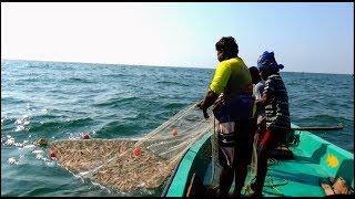 PRAWN CATCHING AT SEA [upl. by Atilahs]