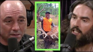 Joe Rogan Explains Hunting to Russell Brand [upl. by Terrence]