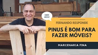 Pinus é uma madeira boa para móveis Fernando responde [upl. by Roti]