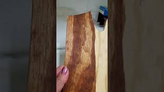 VARATHANE STAIN VIDEO1 [upl. by Anaderol]