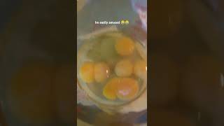 Wow TWO double yolkers 🥚 [upl. by Clerk152]