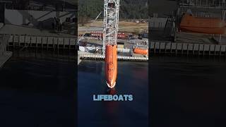 How Freefall Lifeboats Work [upl. by Willet]