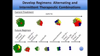 Targeting Cancer Pathways Tumor Resistance [upl. by Adoh]