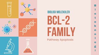 Protein BCl2  Pathway Apoptosis  Biologi Molekuler  Salima Aliifa M10Bioteknologi Unisa [upl. by Idalina]