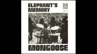 Elephants Memory  Mongoose Drum Break  Loop [upl. by Enitsirt]