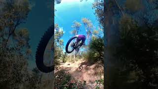 MTB vs EBIKE JUMP FREERIDE [upl. by Jaco]