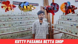 iron man betta for 450 rs  kutty pasanga betta new shop in kolathur [upl. by Akeenahs519]