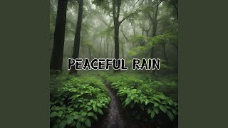 Dallas Dreamscapes Calming Rainy Night ASMR [upl. by Vivl]