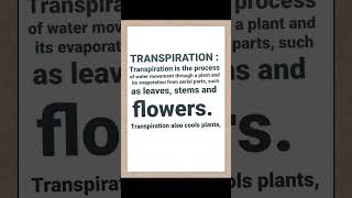 Class 7 TRANSPIRATION In Plants ProcessofTranspirationinPlants Transpiration Transpirationshort [upl. by Nilloc114]