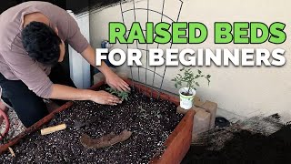 Raised Bed Gardens for Beginners  Planning Soil Mix and Planting Guide [upl. by Pelmas460]