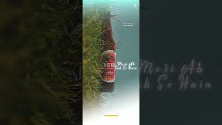 KingfisherBeer [upl. by Friedrich]