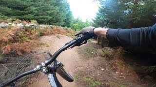 The Best MTB Trail In Ireland   Rockrider AM 50s [upl. by Sorac]