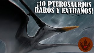 ¡10 PTEROSAURIOS REALMENTE EXTRAÑOS [upl. by Perreault535]