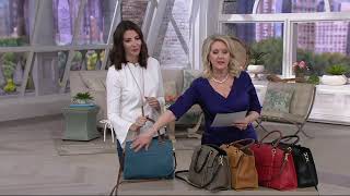 Tignanello Italia Leather Convertible Satchel Handbag  Carson on QVC [upl. by Acessej230]