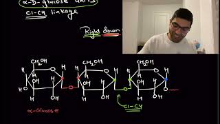 Polysaccharide  Difference between Amylose and Amylopectin  Biomolecules Lec 10 by TUC Nikhil [upl. by Millard]