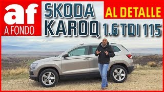 Skoda Karoq 16 TDI 115 CV al detalle [upl. by Tris]