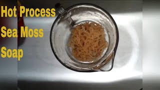 How I Make My Hot Process Sea Moss Soap [upl. by Engen786]