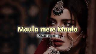 maula mere maula  slowedreverb♥️🎧 [upl. by Hailahk93]