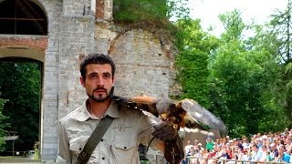 Pairi Daiza Belgium  Part 2 Birds [upl. by Lynette182]