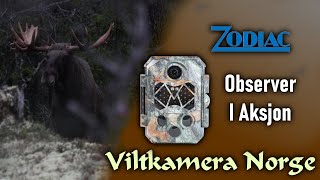 VILTKAMERA I AKSJON  Zodiac Observer [upl. by Nadruoj80]