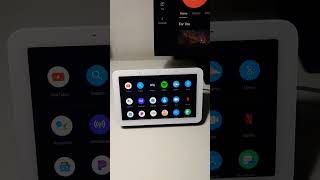 Google Nest Hub Apps [upl. by Yerfoeg718]