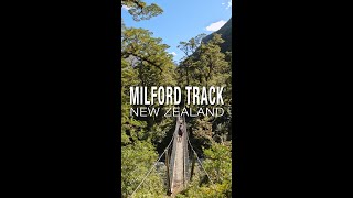 Hiking the Milford Track  New Zealands Great Walks [upl. by Butler266]