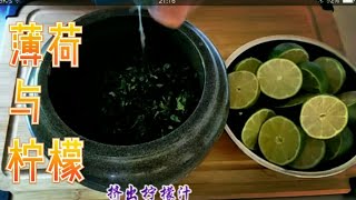 薄荷与柠檬完美结合的饮用和烹饪用 Lemon mint tea and lemon mint sauce [upl. by Zimmermann]