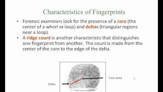 Fingerprint Video Lessonwmv [upl. by Clari653]