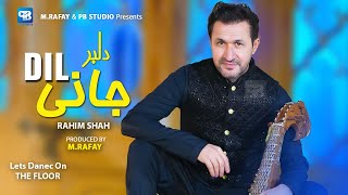 Ghezaal Enayat  Habibi New Afghan song 2024 غزال عنایت  حبیبی [upl. by Xxam736]